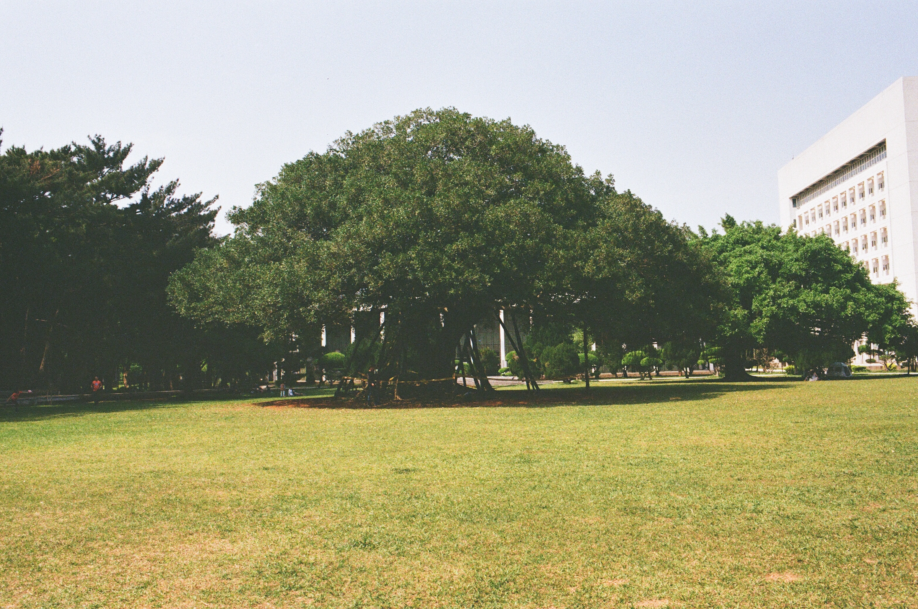 MinIO 圖片: 000068050003.webp