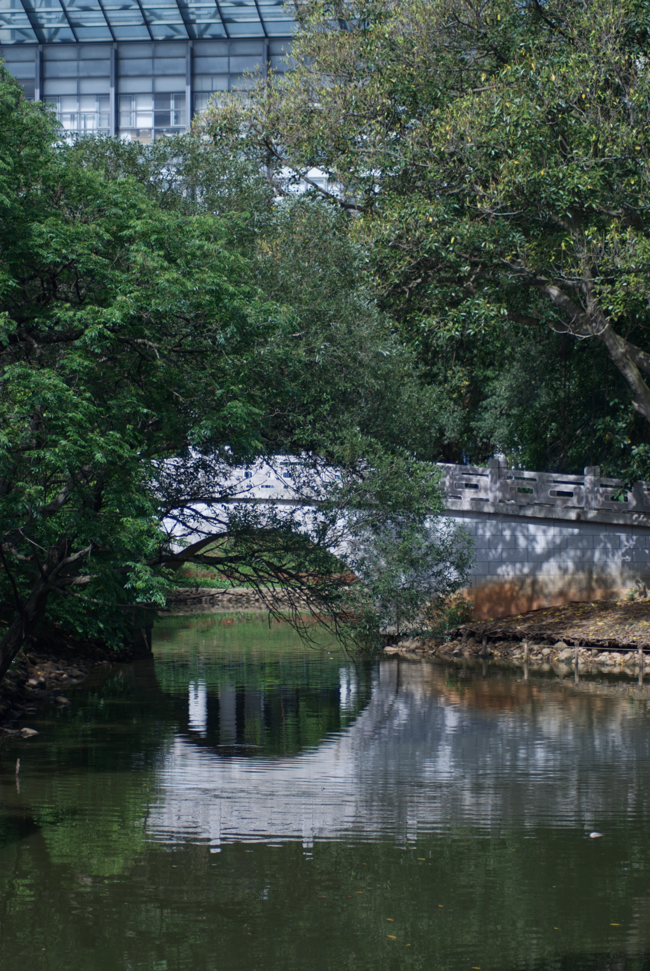 MinIO 圖片: DSC_5934.webp