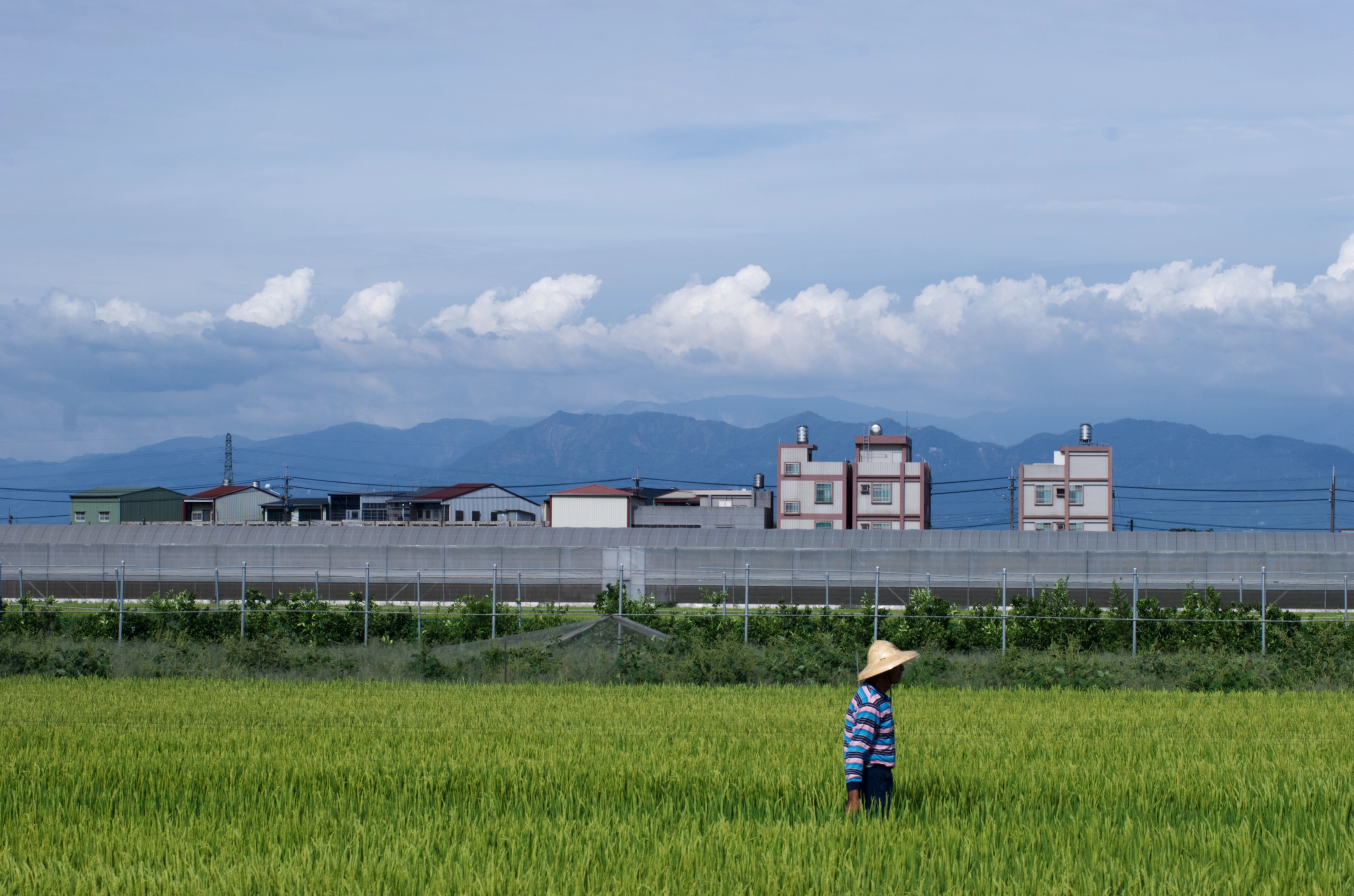 MinIO 圖片: DSC_6051.webp