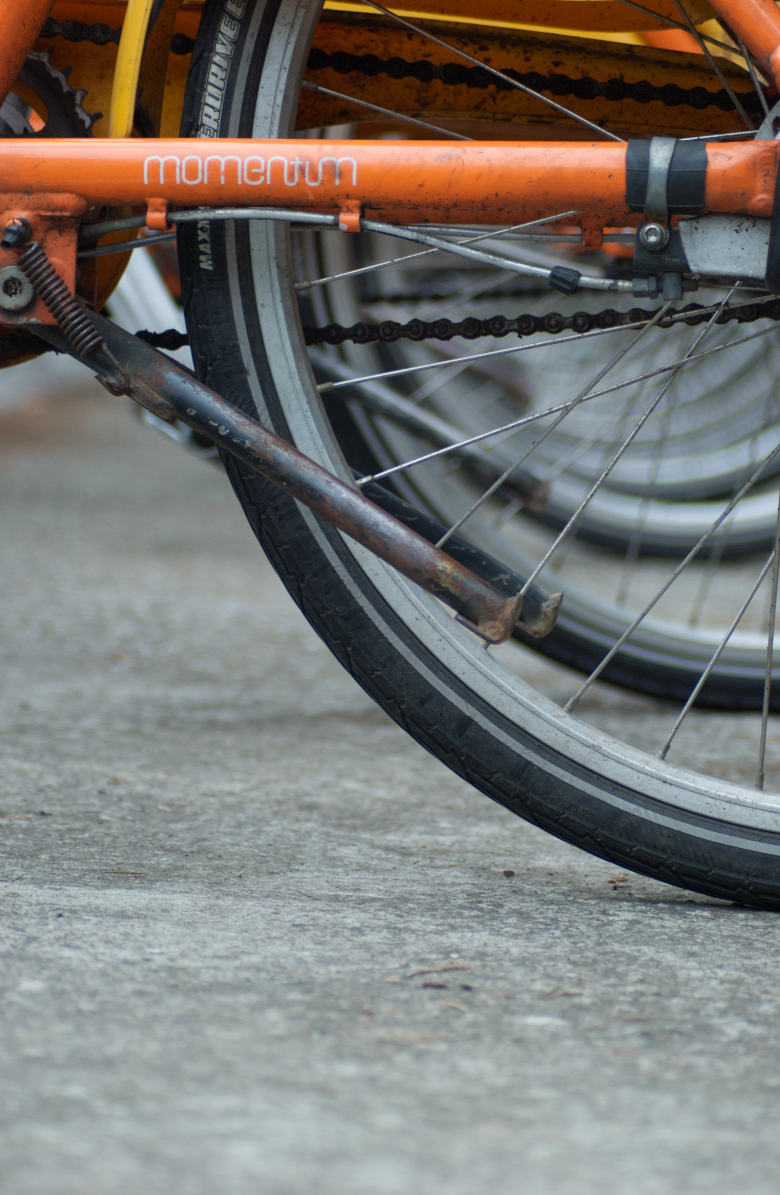 MinIO 圖片: DSC_6125.webp