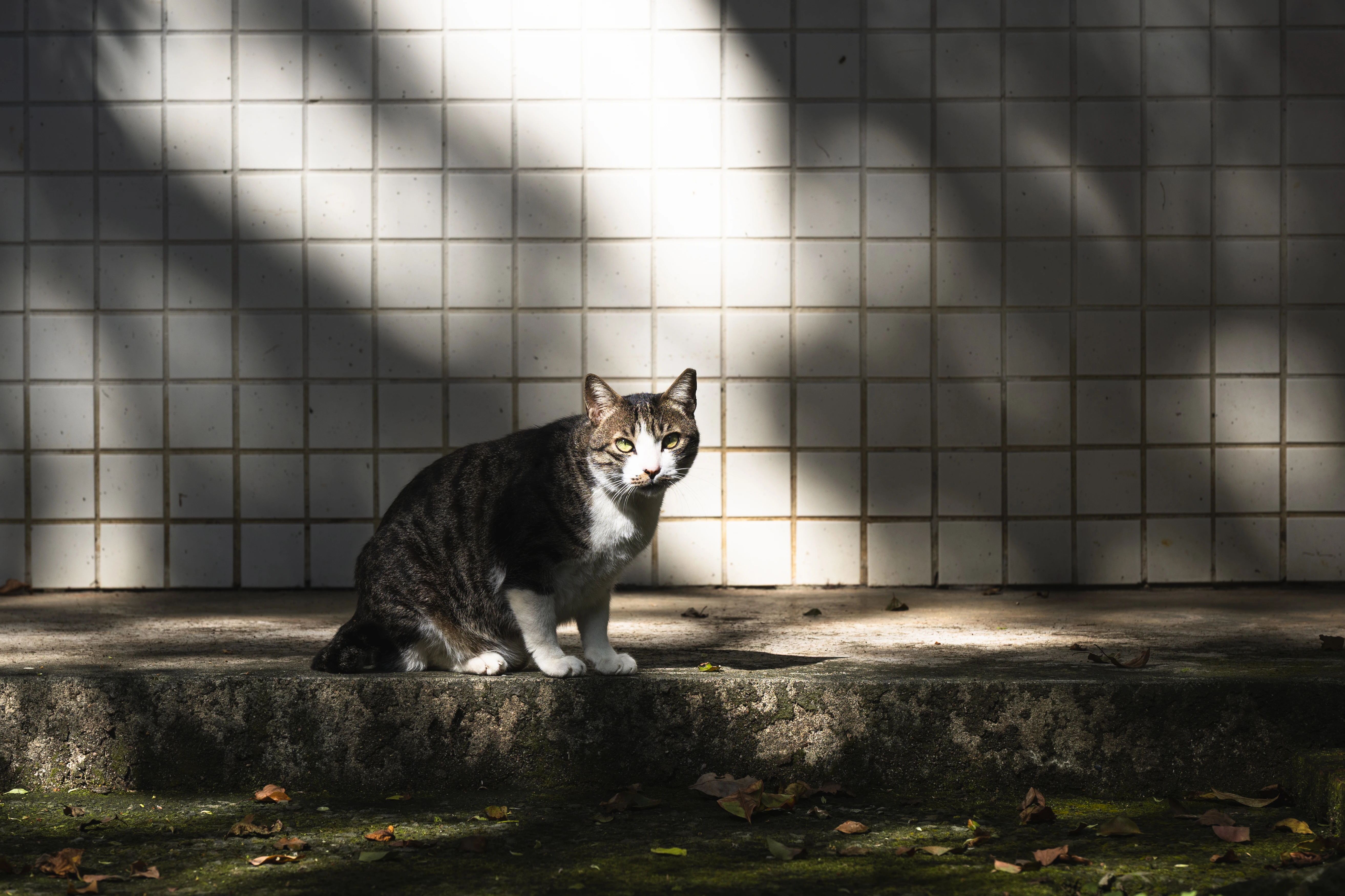 MinIO 圖片: LQY_0162.webp