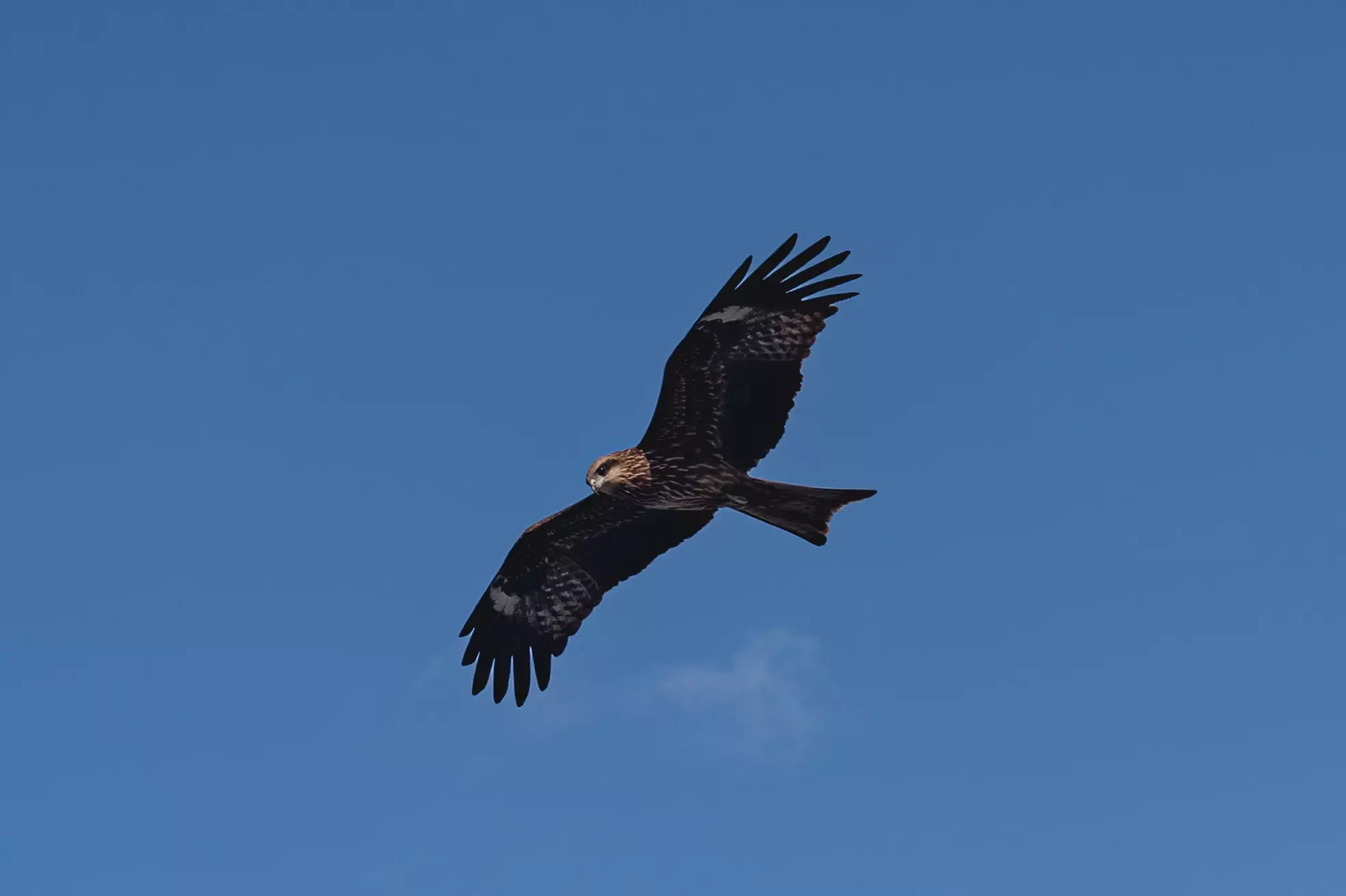 MinIO 圖片: LQY_0776.webp