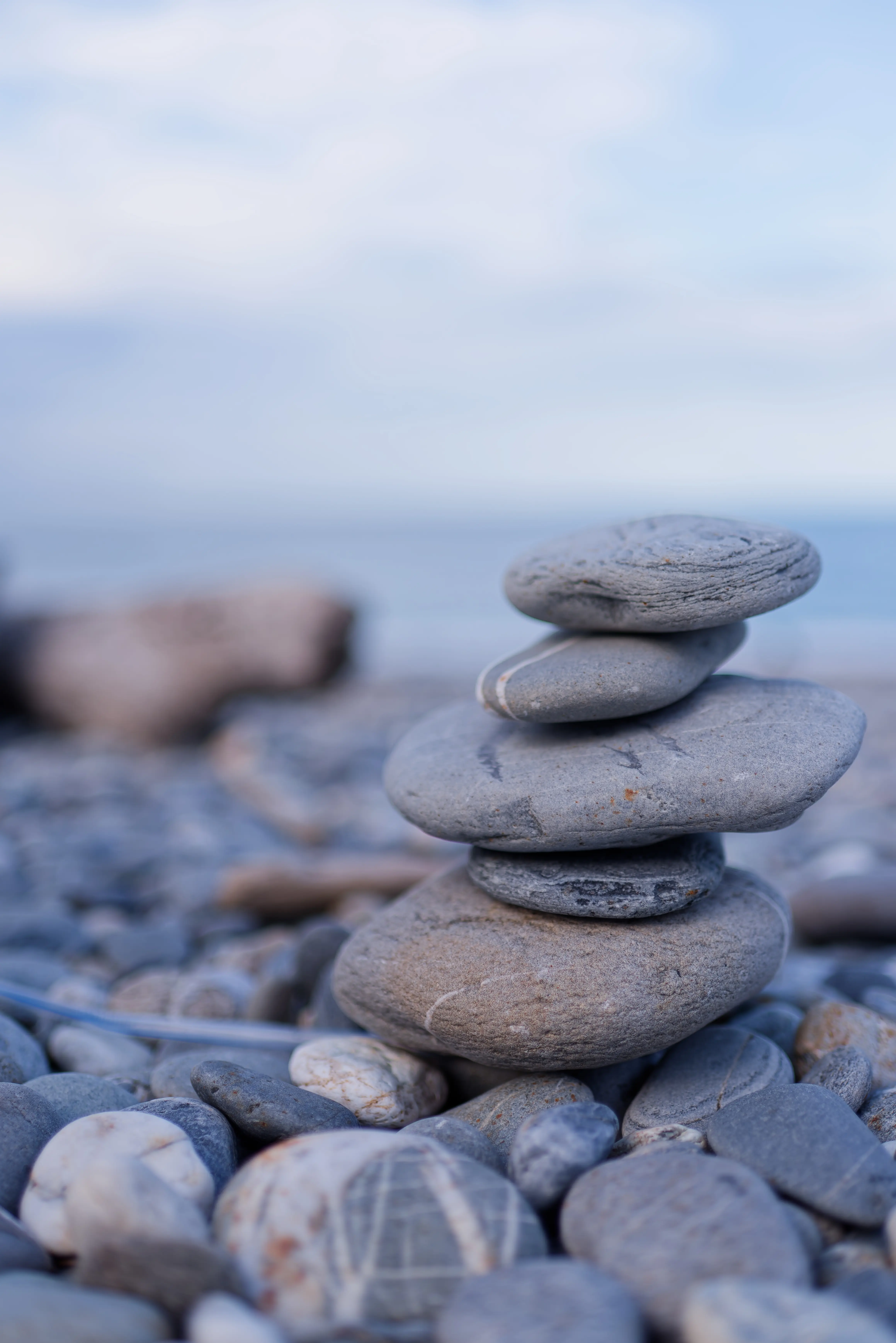 MinIO 圖片: LQY_0819.webp