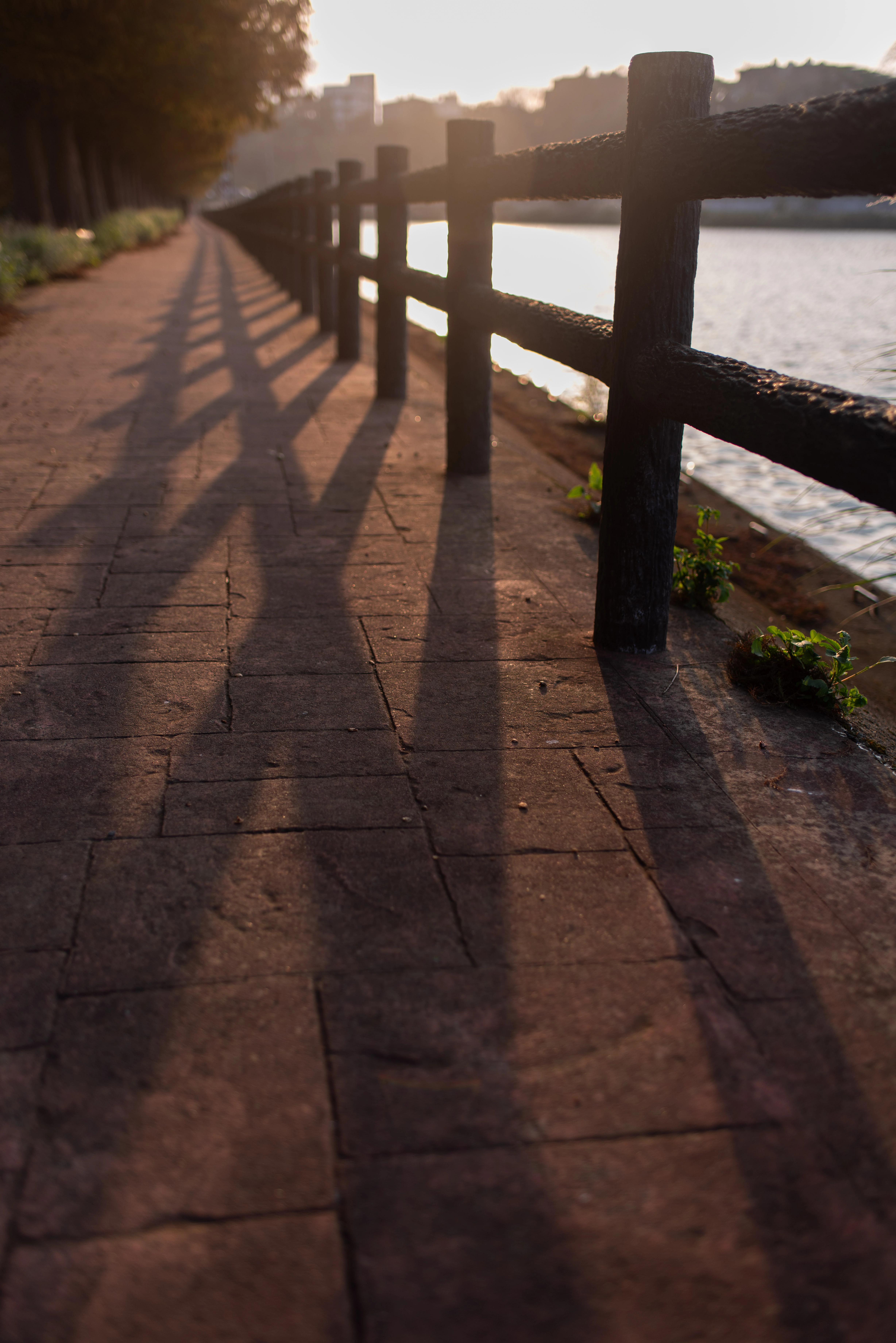 MinIO 圖片: LQY_2910.webp